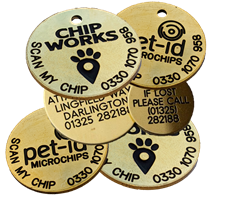 Brass collar tags
